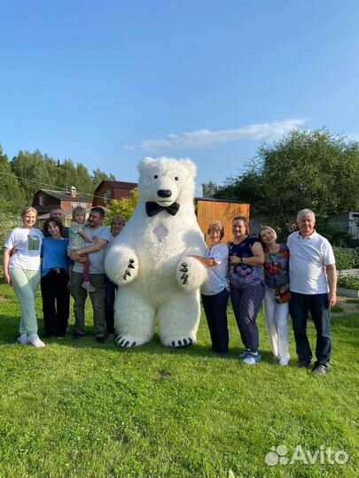 Экспресс поздравление