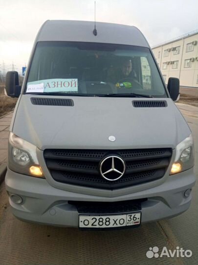 Водитель автобуса категории d