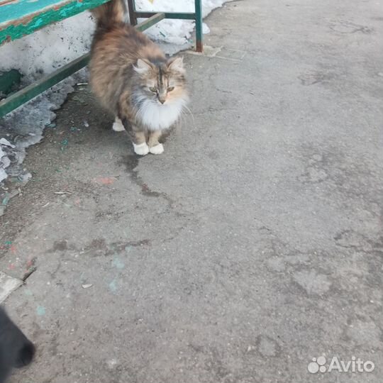 В руки людям с добрым сердцем