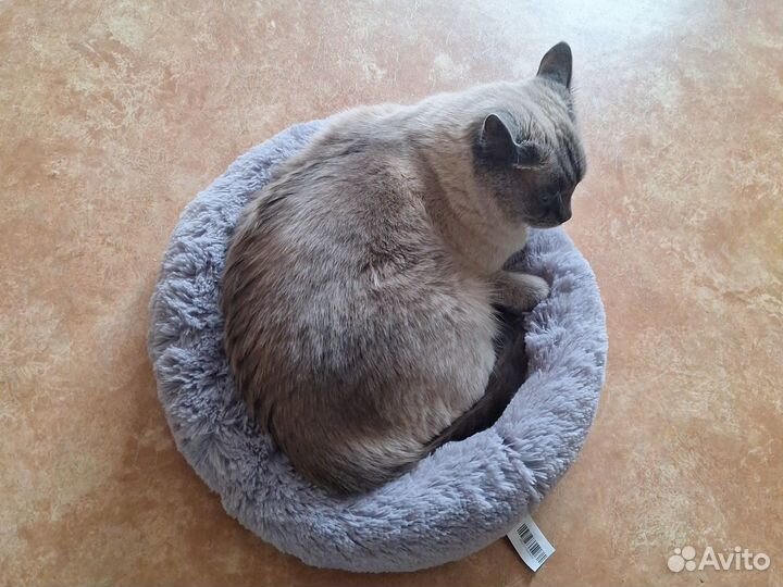 Лежанка для животных