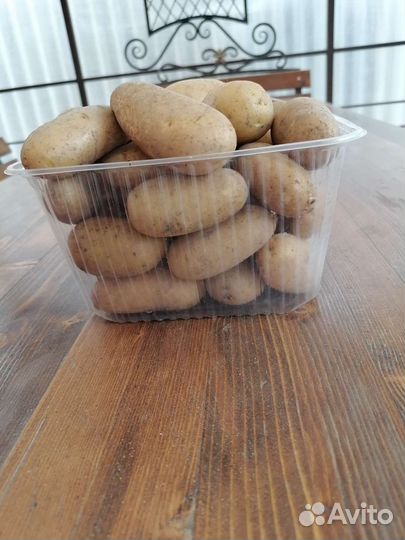Картофель (Адретта )