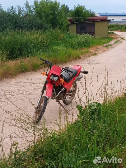 Зид пилот 50