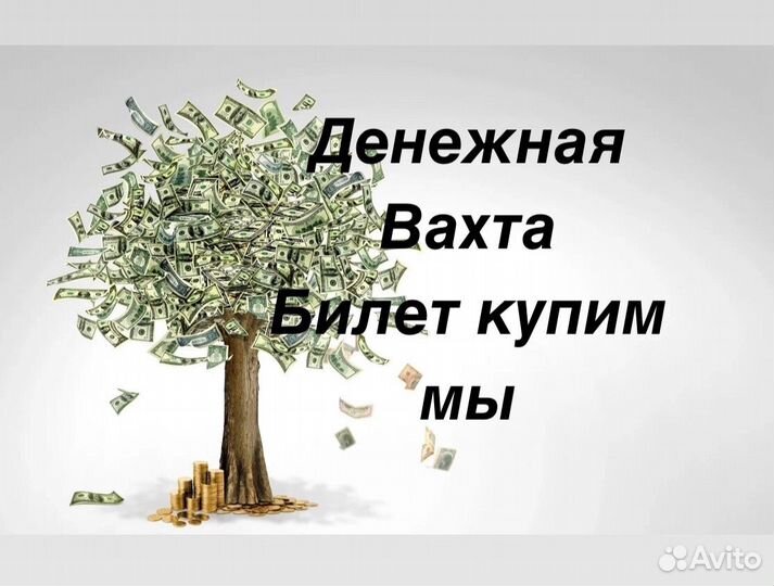 Работа вахтой с проживанием разнорабочий без опыта