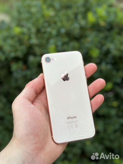 iPhone 8 64gb ростест