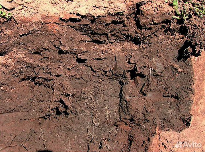 Суглинок для засыпки вашего участка. Art:3/97