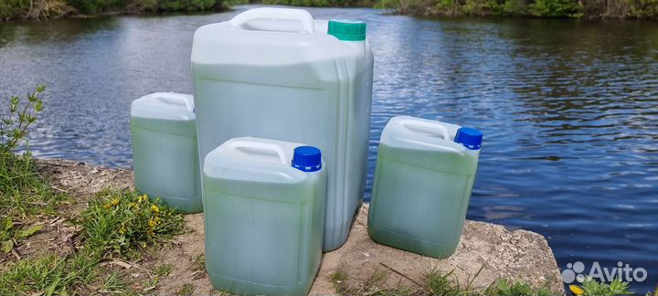 Хлорелла для очистки водоемов