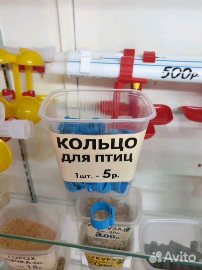 Кольцо для птиц