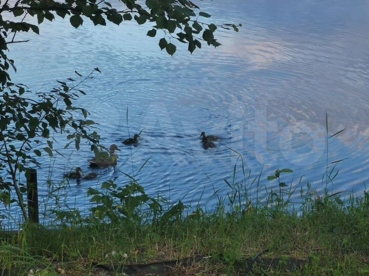 Дом 102 м² на участке 16 сот.