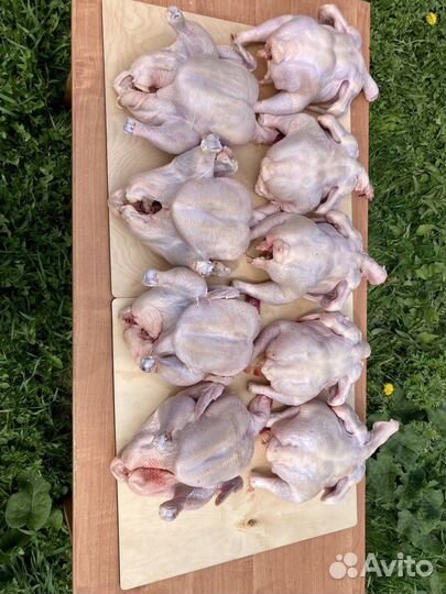 Мясо домашней курицы(Бройлера)