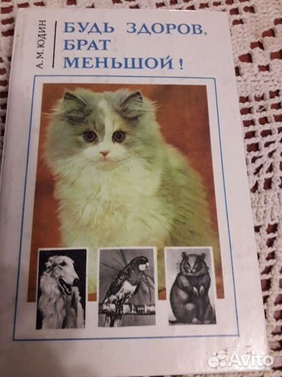 Юдин Будь здоров, брат меньшой