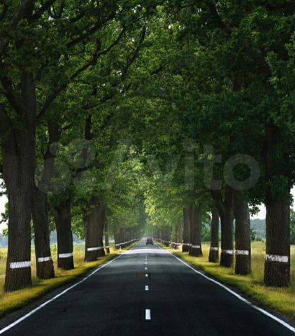 Участок 6 сот. (ИЖС)