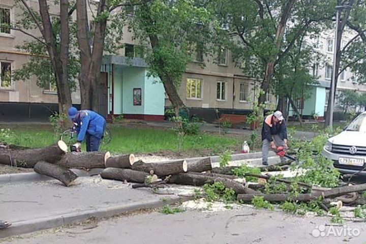 Распил упавших аварийных деревьев