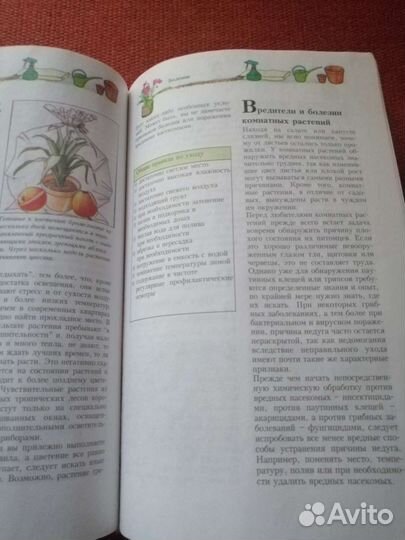 Комнатные растения 365 советов