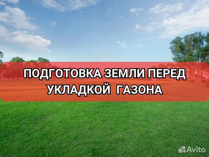 Продажа газона стандарт