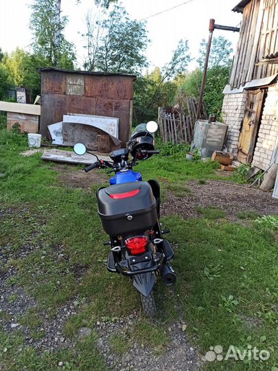 Альфа турист