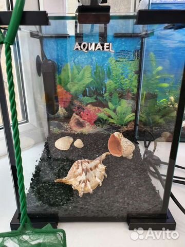 Аквариум куб Aquael shrimp set 10l