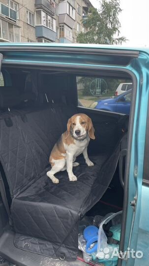 Автогамак для перевозки собак