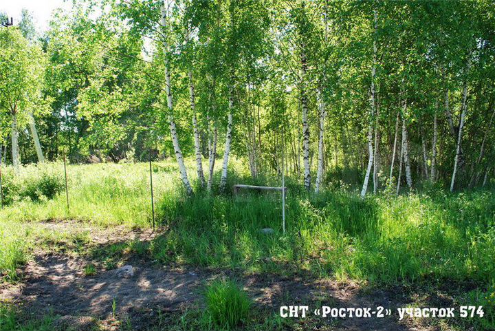 Участок 10 сот. (СНТ, ДНП)