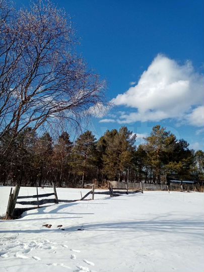 Участок 24 сот. (ИЖС)