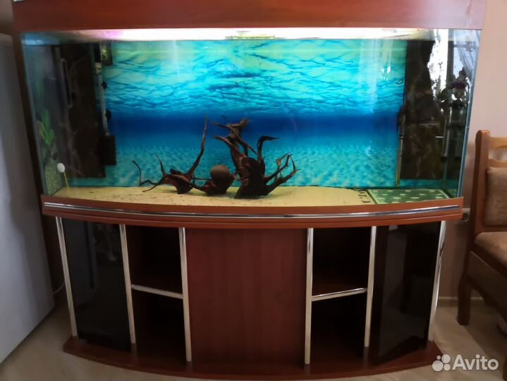 Аквариум панорамный с тумбой