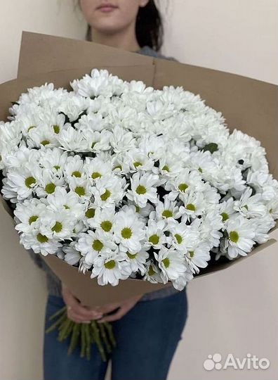 Хризантема