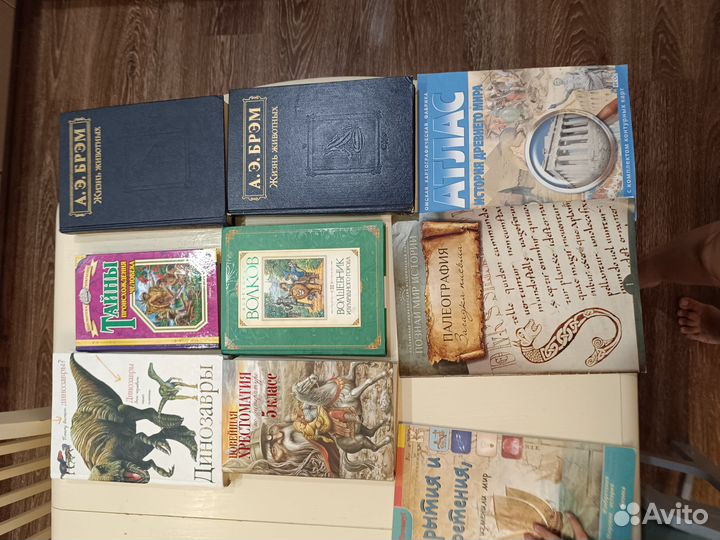 Книги и для средней школы.хрестоматия 5 класс