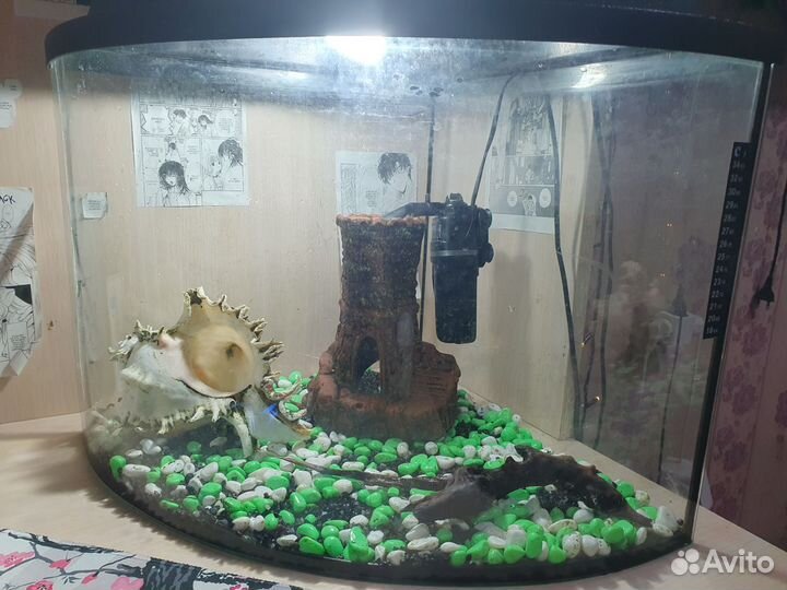 Аквариум для рыбок 40 литров