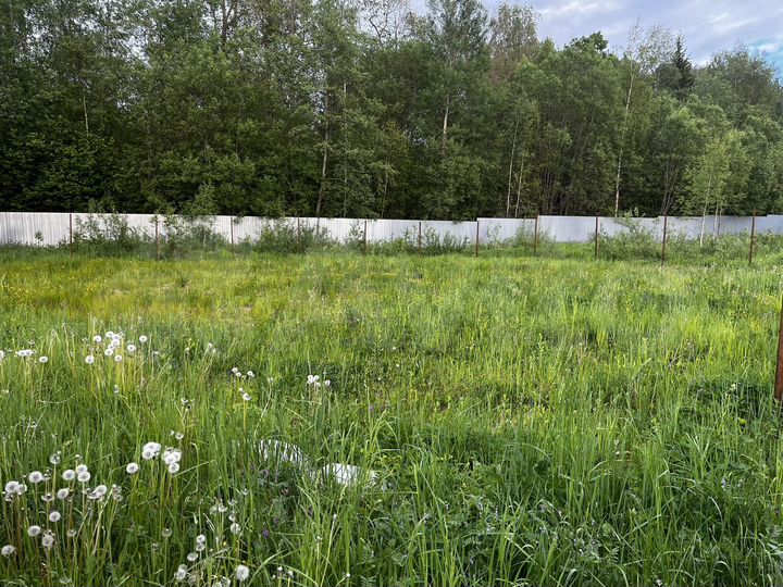 Участок 6 сот. (СНТ, ДНП)