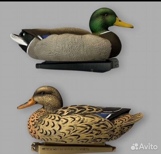 Чучела уток greenhead
