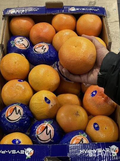 Овощи фрукты опт