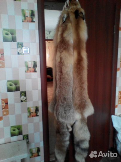 Продам лисьи шкуры