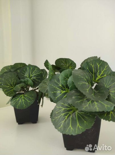 Искусственная шефлера в горшочке