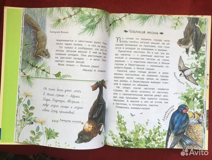 Виталий Бианки. Книги современные и СССР