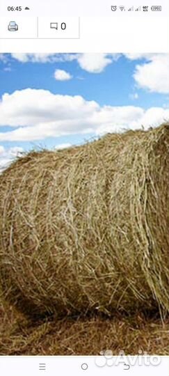 Продам сено в рулонах