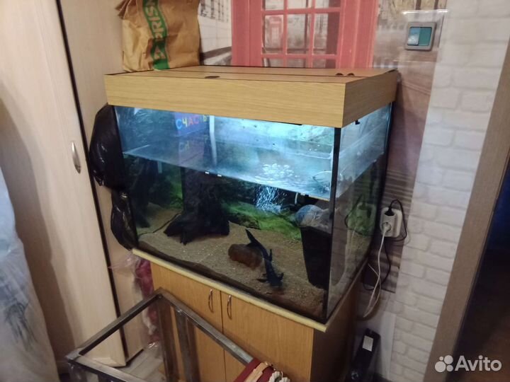 Продаю аквариум