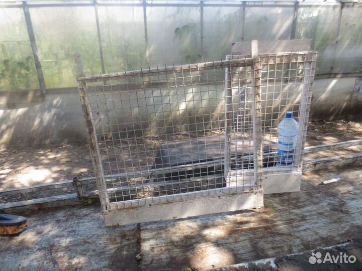 Сосковые поилки