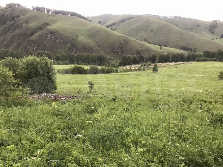 Участок 18,4 га (СНТ, ДНП)