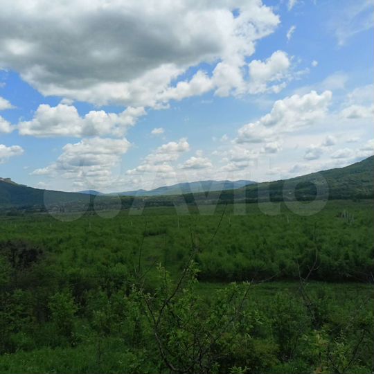 Участок 100 сот. (СНТ, ДНП)