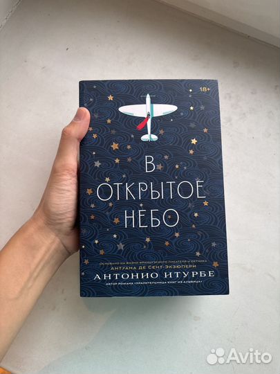 Книга В открытое небо Итурбе