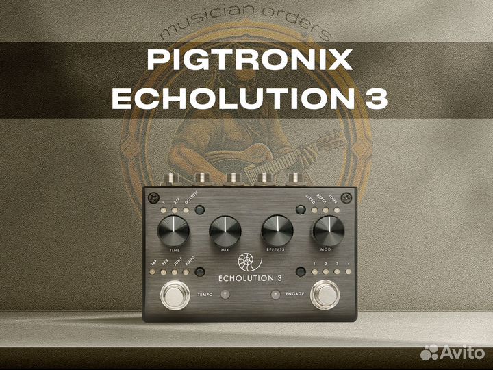 Pigtronix Echolution 3