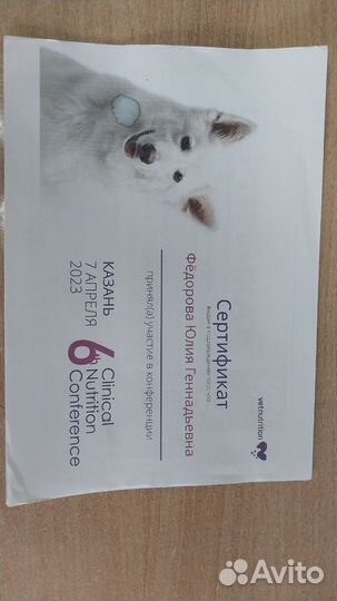 Ветеринарный врач онлайн (Без выезда)