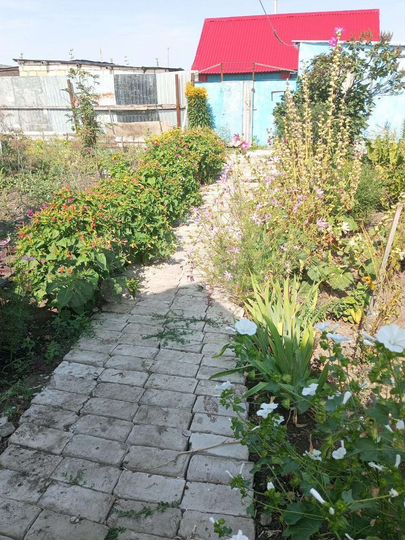 Дом 76 м² на участке 14 сот.