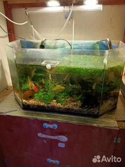 Аквариум 120л
