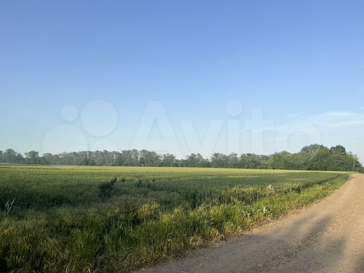 Участок 6 га (СНТ, ДНП)