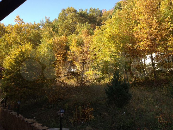 Дом 280 м² на участке 100 сот.