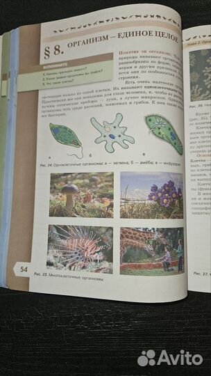 Учебник по биология 5 кл. Пасечник