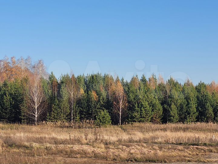 Участок 18 сот. (ИЖС)