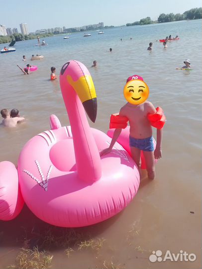 Новые огромные фламинго