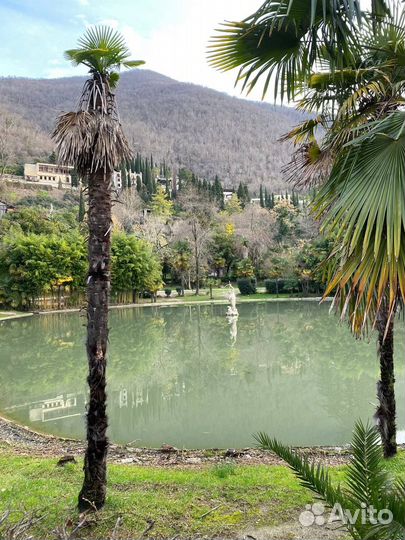 Джип тур Абхазия ежедневно, озеро Рица