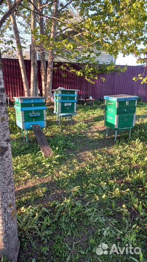 Улей для пчел бу